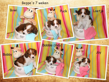 Afbeelding invoegen
